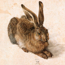 Bild: A. Dürer,